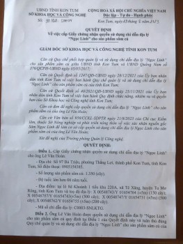 Quyết định về việc cấp giấy chứng nhận quyền sử dụng chỉ dẫn địa lý " ngọc Linh" cho sản phẩm sâm củ