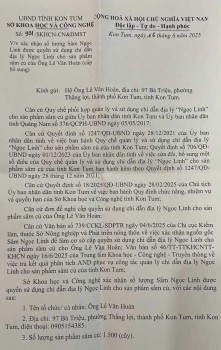 Xác nhận số lượng Sâm Ngọc Linh được quyền sử dụng chỉ dẫn địa lý Ngọc Linh cho sản phẩm sâm củ của...