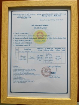 Mã số cơ sở trồng Sâm Ngọc Linh
