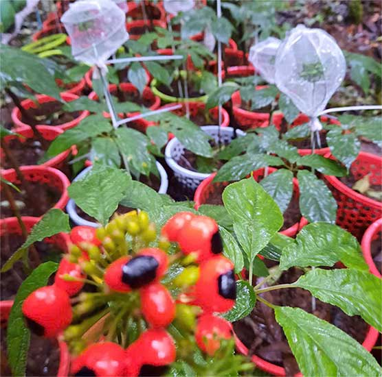 Chúng tôi luôn ưu tiên sự hài lòng của các bạn